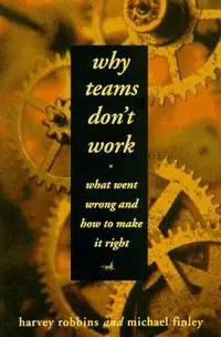 Why Teams Don't Work
